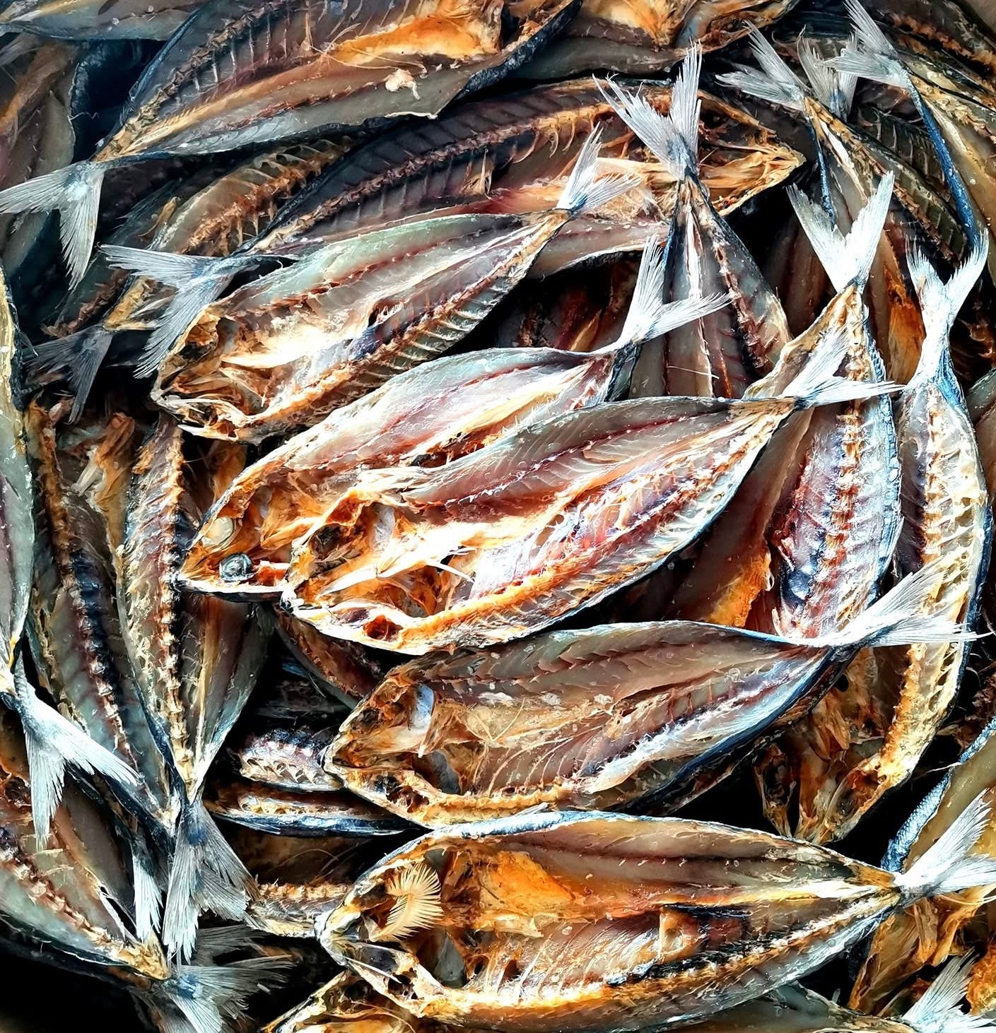 Kapak/Banak