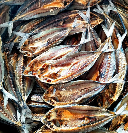 Kapak/Banak
