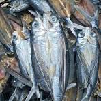 Dried Flying Fish