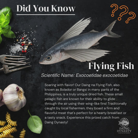 Dried Flying Fish